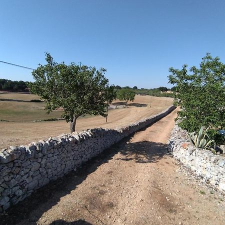 Masseria Catucci Agriturismo อัลเบโรเบลโล ภายนอก รูปภาพ