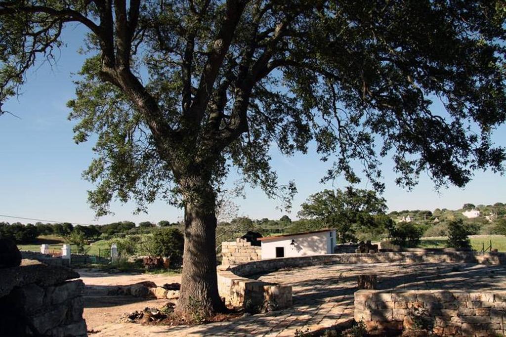 Masseria Catucci Agriturismo อัลเบโรเบลโล ภายนอก รูปภาพ